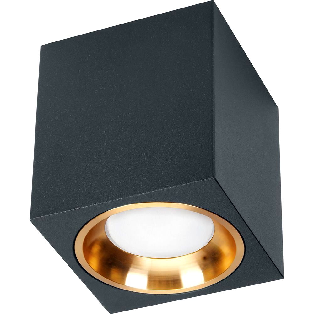 картинка Светильник потолочный ML1754 MR16 35W, 220V, GU10, черный, золото 41200 от интернет магазина Ampertorg